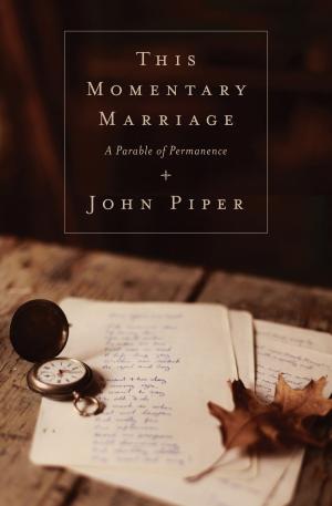 Cover of the book This Momentary Marriage: A Parable of Permanence by J. I. Packer