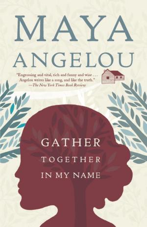 Cover of the book Gather Together in My Name by Virginia Henley