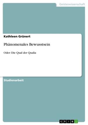 Cover of the book Phänomenales Bewusstsein by Sebastian Schult