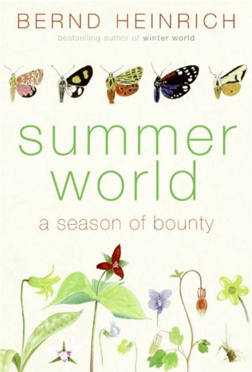 Cover of the book Summer World by Bernd Heinrich, HarperCollins e-books