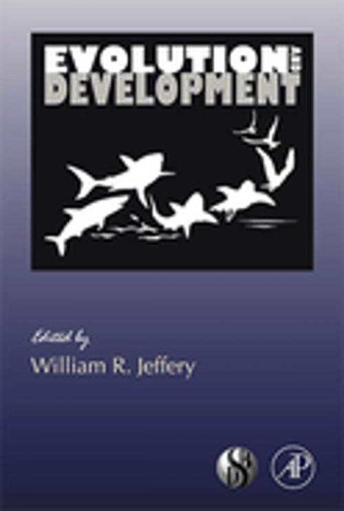 Cover of the book Evolution and Development by William R. Jeffery, Elsevier Science