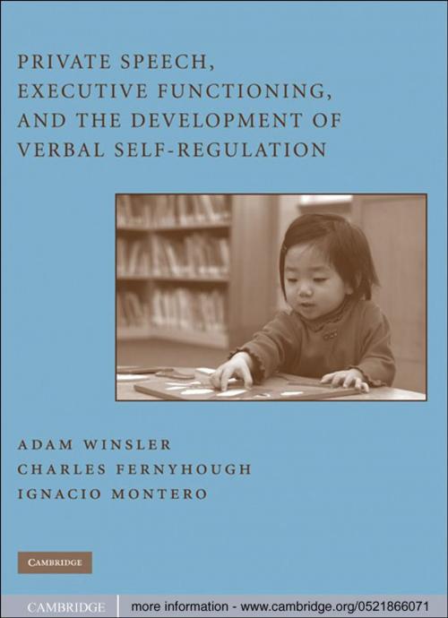 Cover of the book Private Speech, Executive Functioning, and the Development of Verbal Self-Regulation by , Cambridge University Press