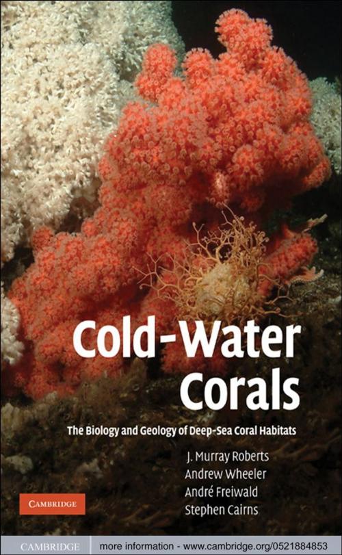 Cover of the book Cold-Water Corals by J. Murray Roberts, Andrew Wheeler, André Freiwald, Stephen Cairns, Cambridge University Press