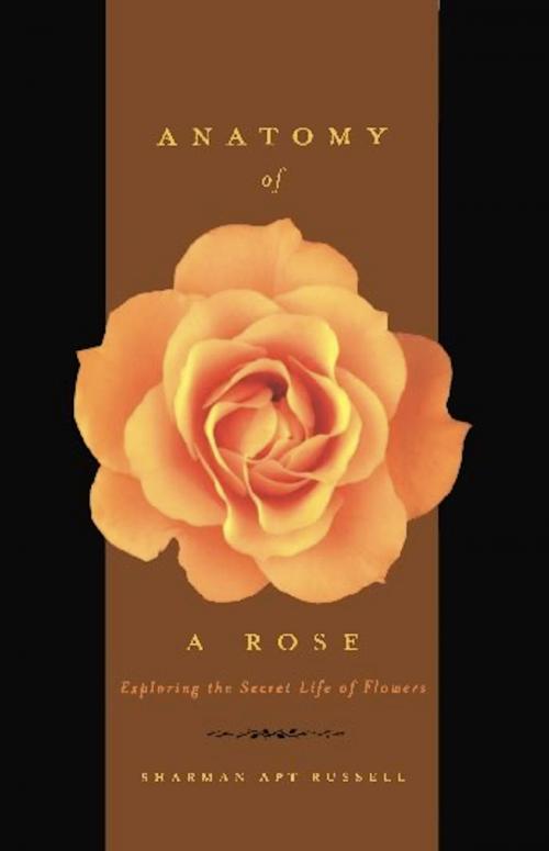 Cover of the book Anatomy Of A Rose by Sharman Apt Russell, Basic Books