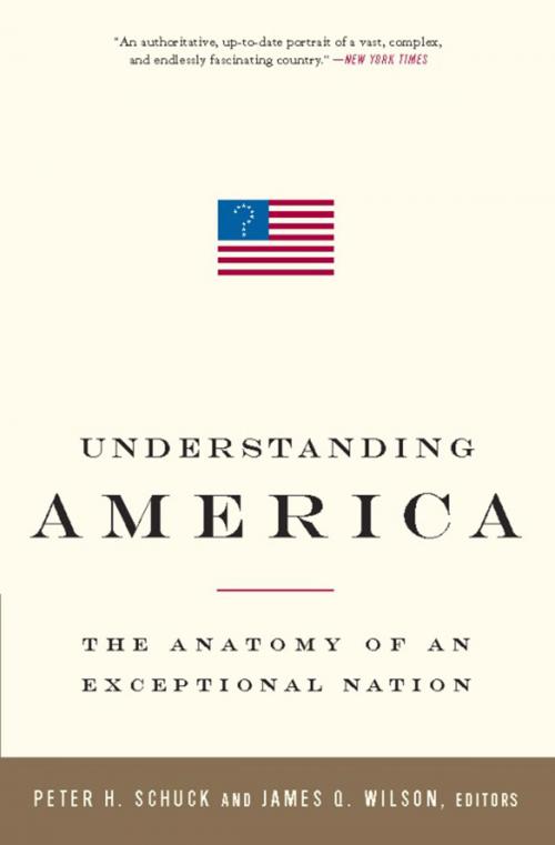 Cover of the book Understanding America by , PublicAffairs