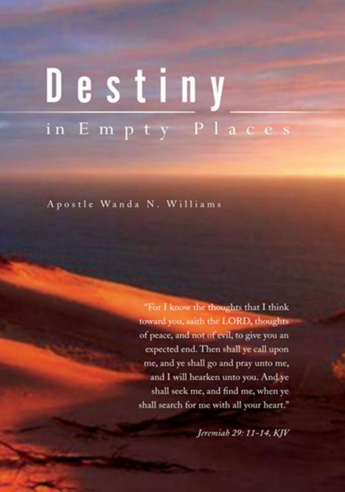 Cover of the book Destiny in Empty Places by Apostle Wanda N. Williams, Xlibris US