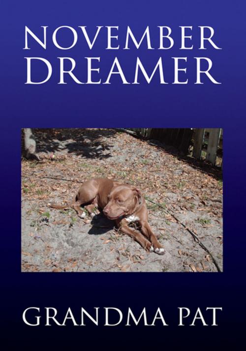 Cover of the book November Dreamer by Grandma Pat, Xlibris US