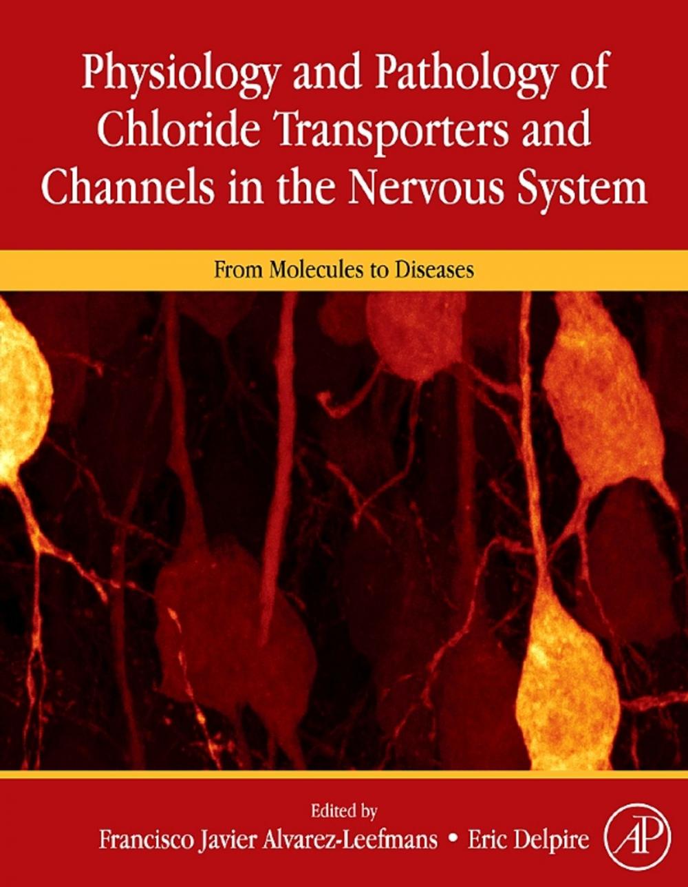 Big bigCover of Physiology and Pathology of Chloride Transporters and Channels in the Nervous System