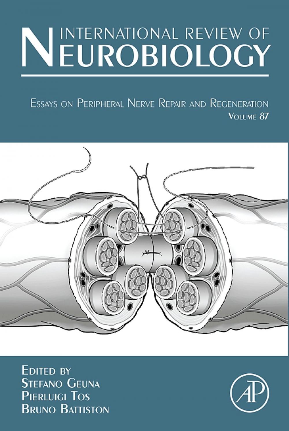 Big bigCover of Essays on Peripheral Nerve Repair and Regeneration