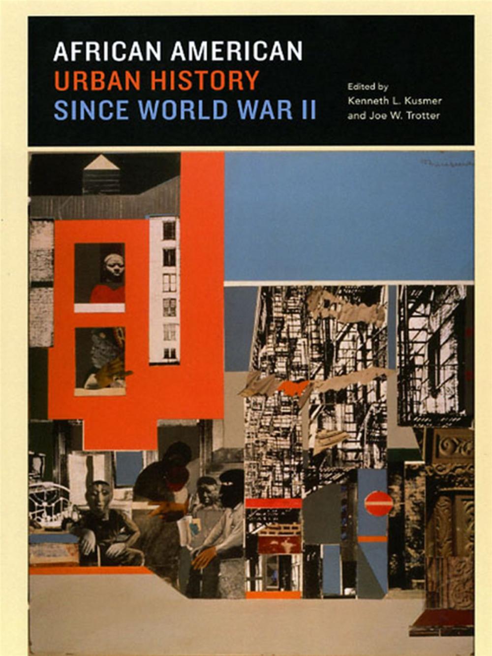 Big bigCover of African American Urban History since World War II