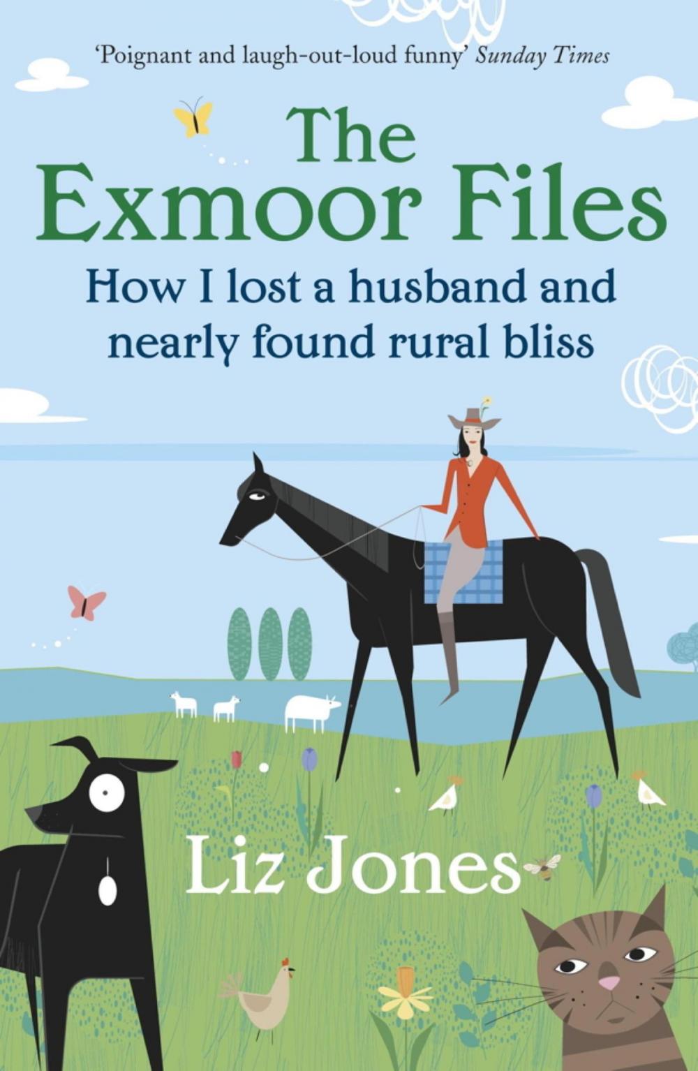 Big bigCover of The Exmoor Files