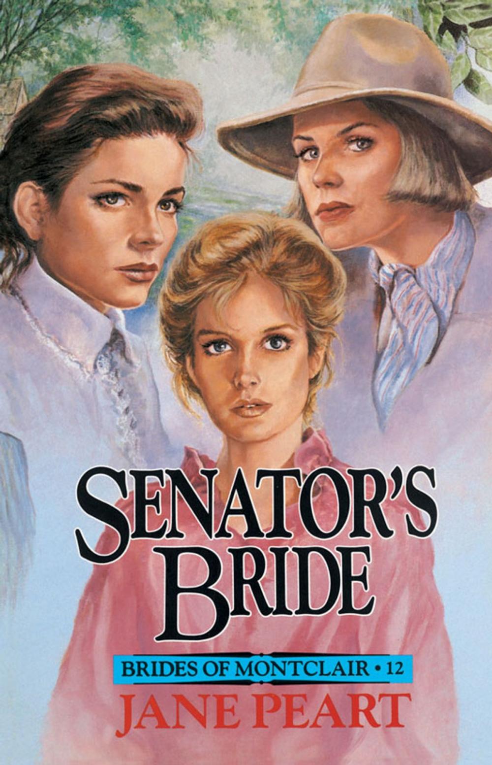 Big bigCover of Senator's Bride