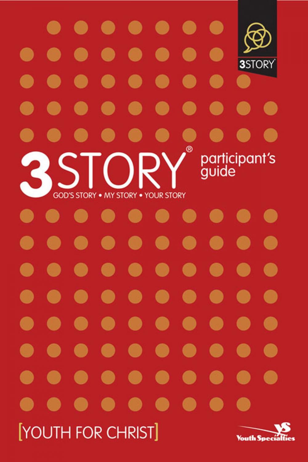 Big bigCover of 3Story Participant's Guide