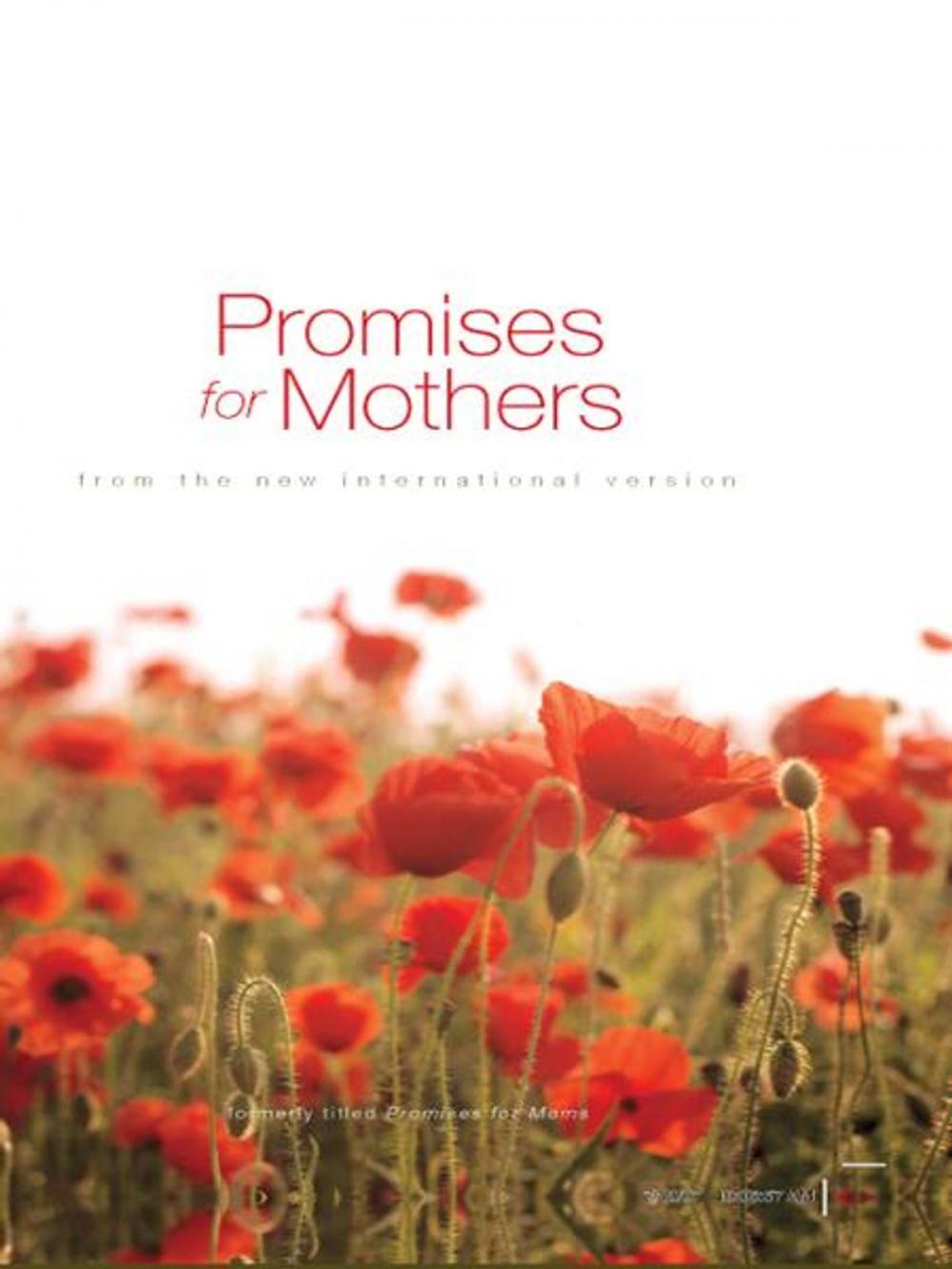 Big bigCover of Promises for Mothers