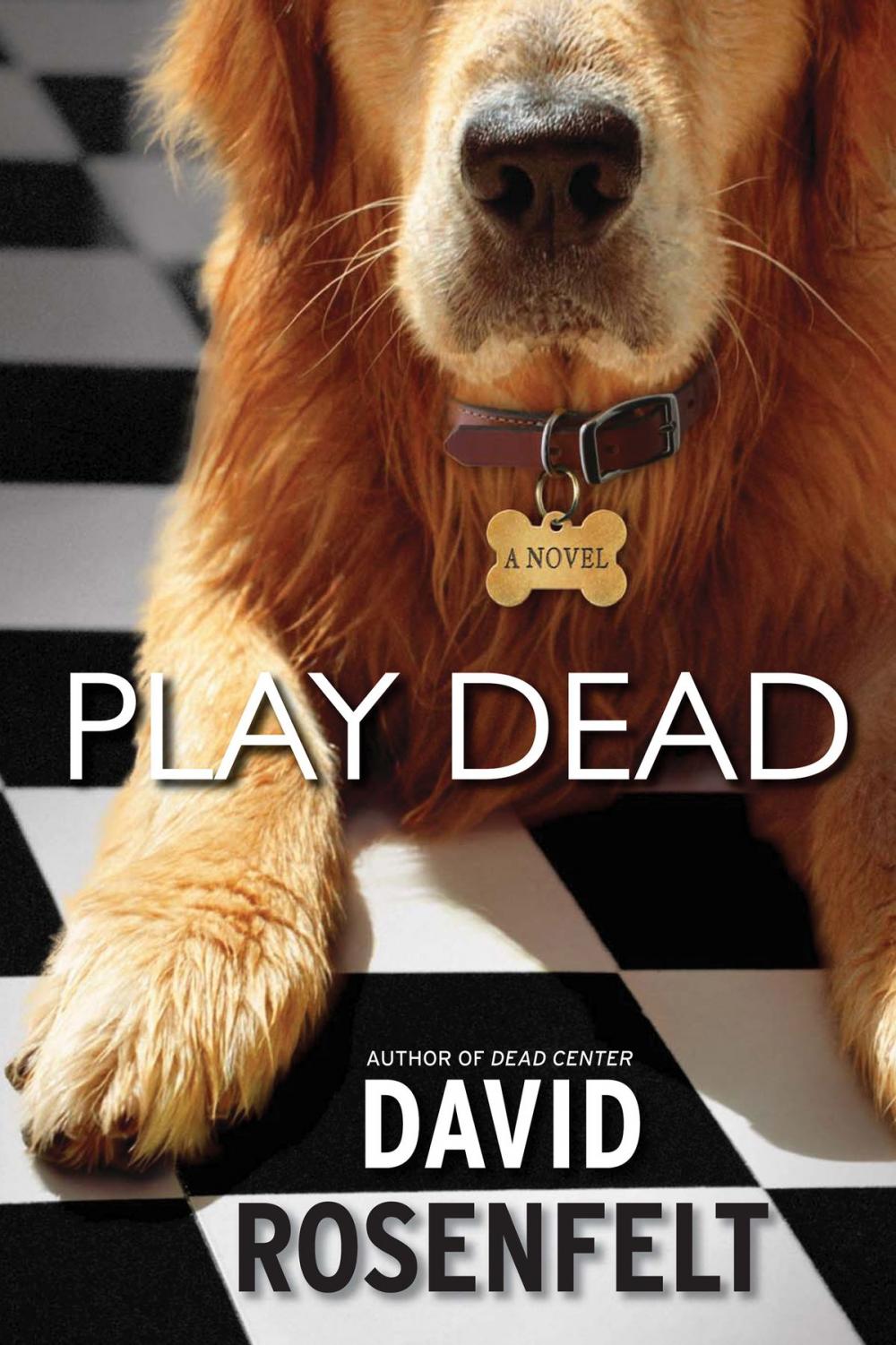 Big bigCover of Play Dead