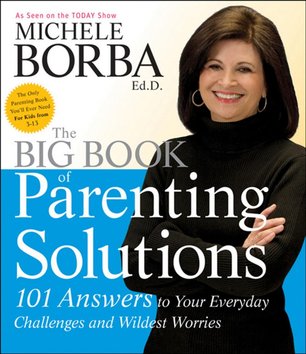 Big bigCover of The Big Book of Parenting Solutions