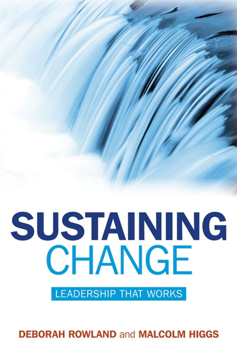 Big bigCover of Sustaining Change