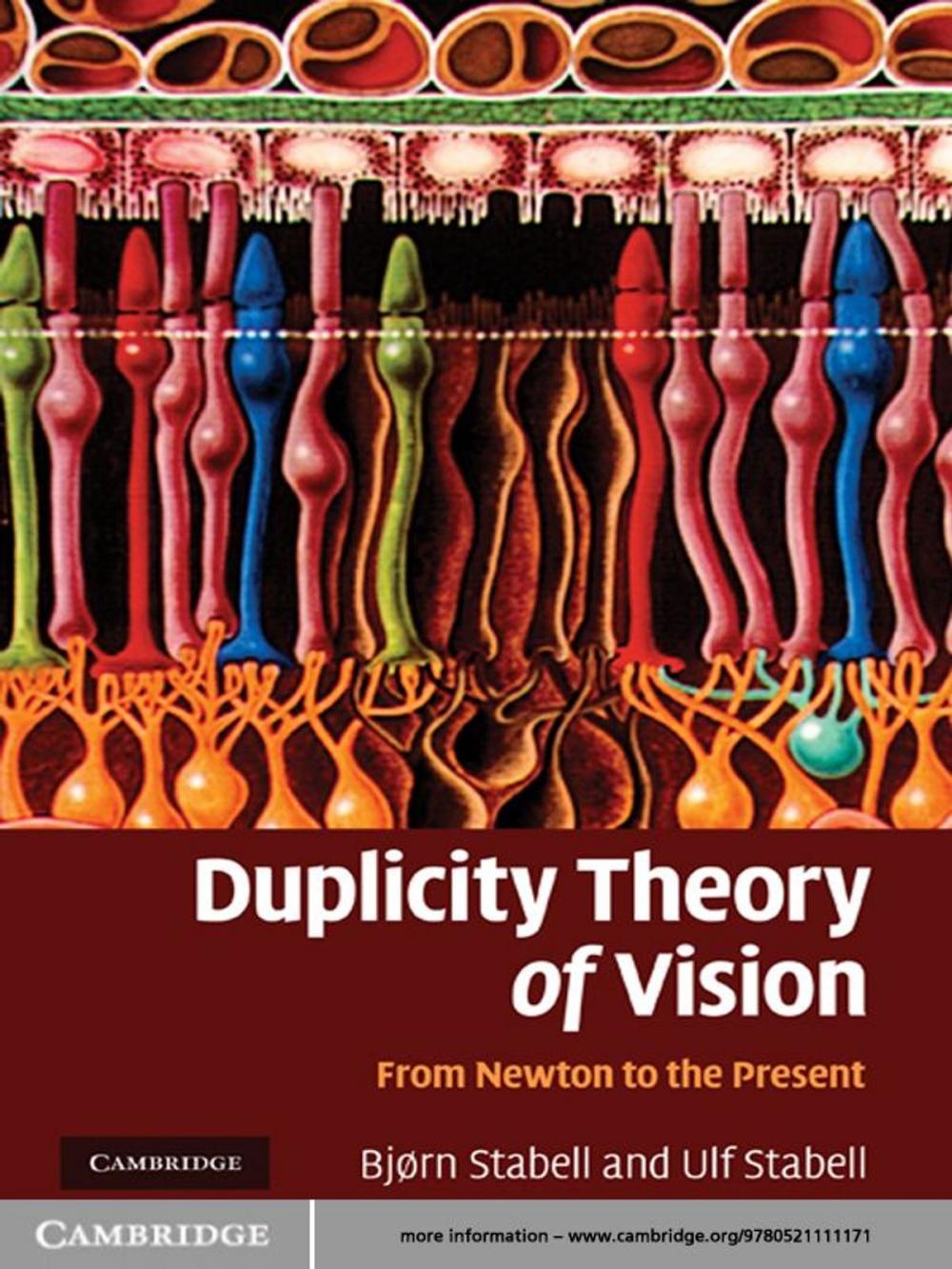 Big bigCover of Duplicity Theory of Vision