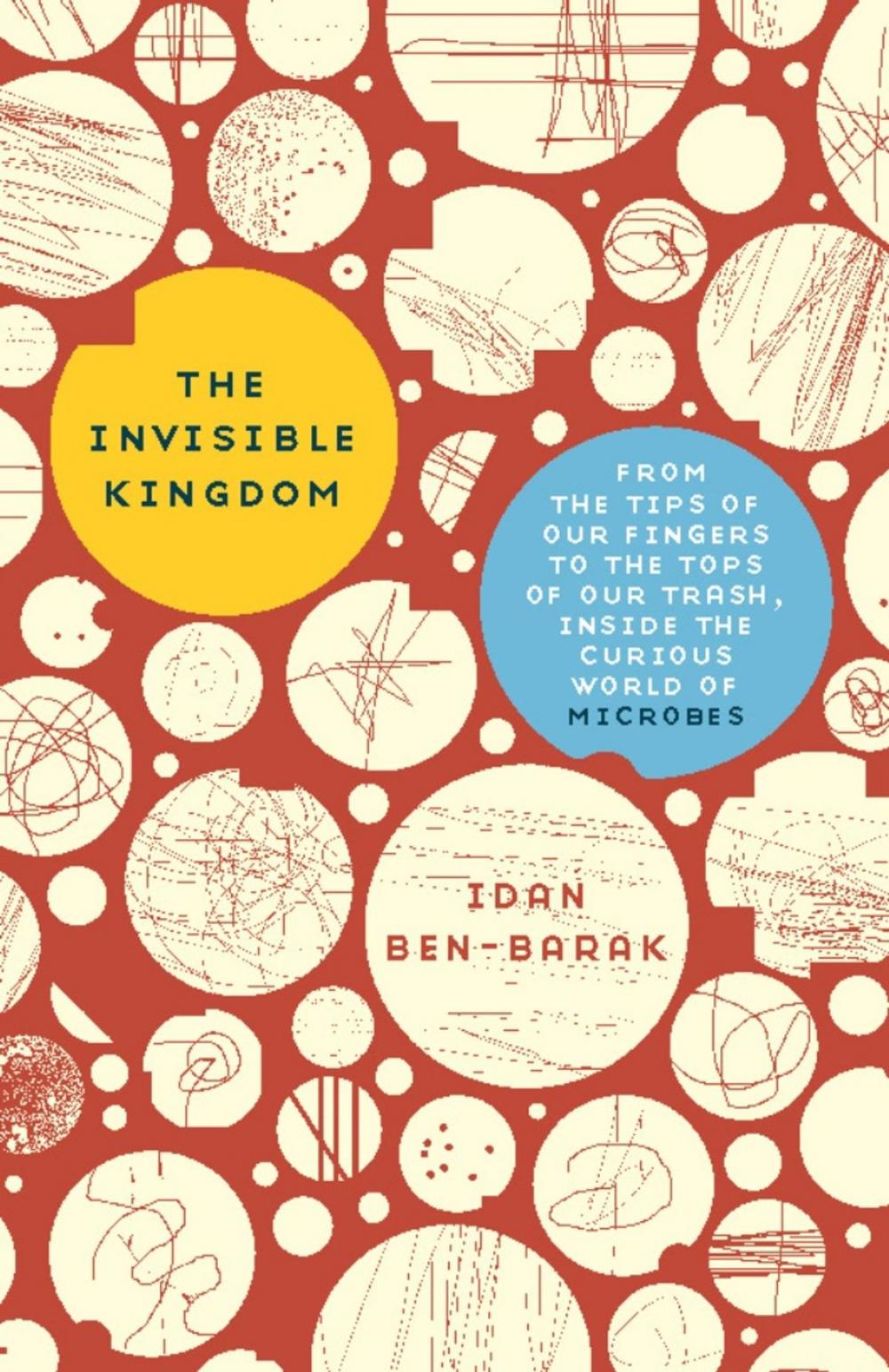 Big bigCover of The Invisible Kingdom