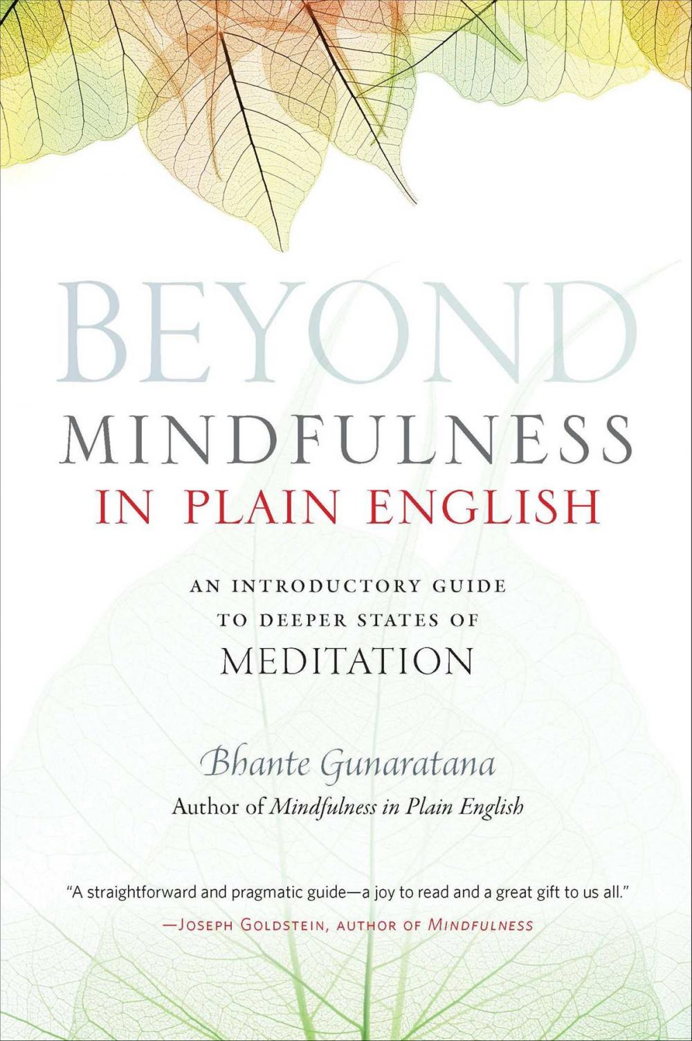 Big bigCover of Beyond Mindfulness in Plain English