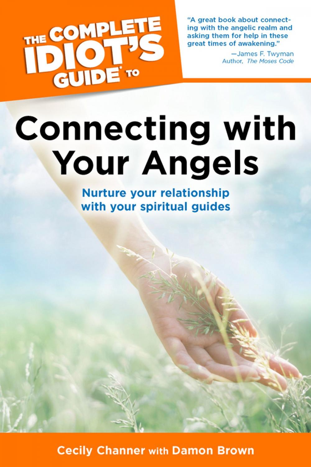 Big bigCover of The Complete Idiot's Guide to Connecting with Your Angels