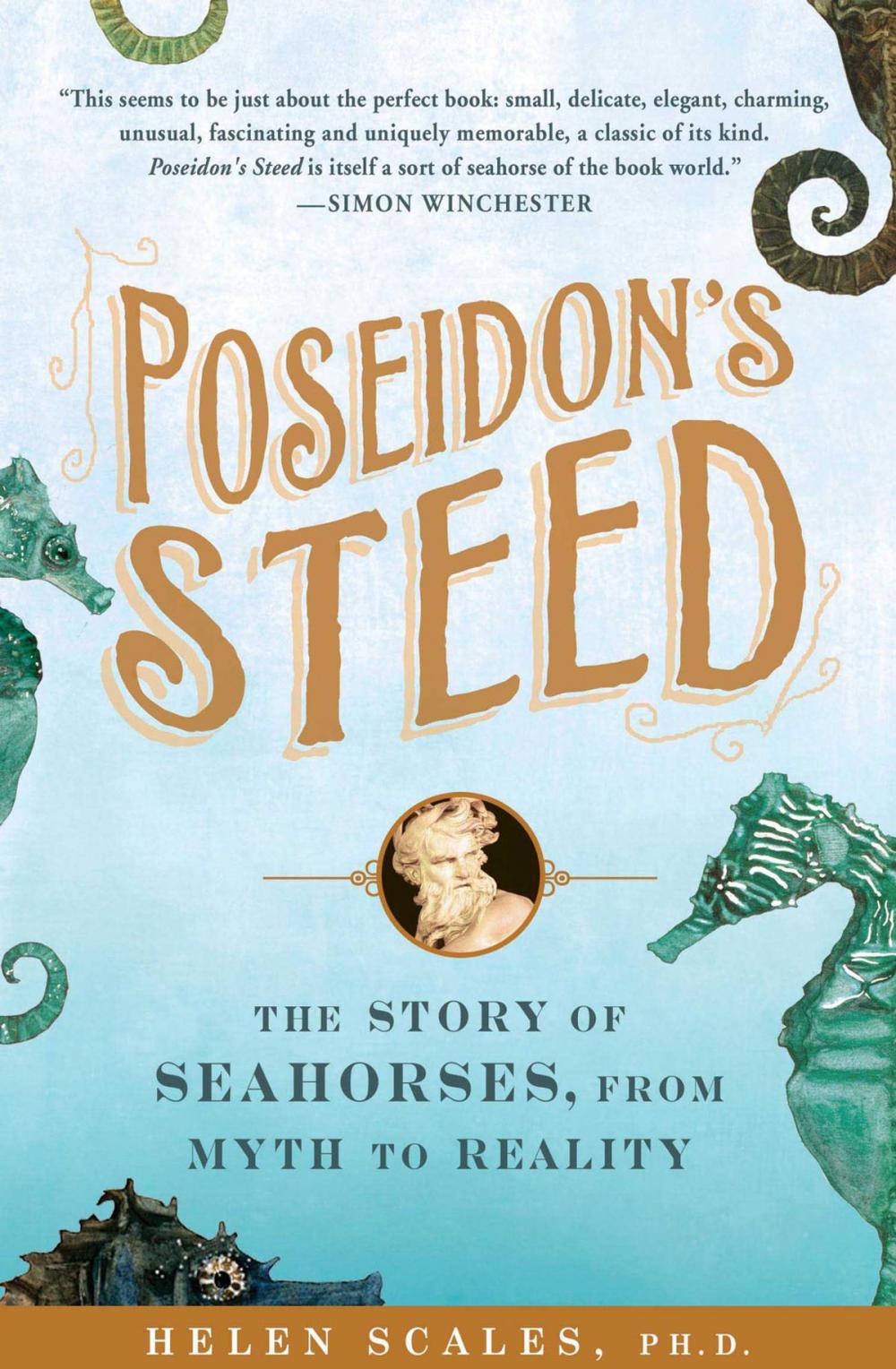 Big bigCover of Poseidon's Steed