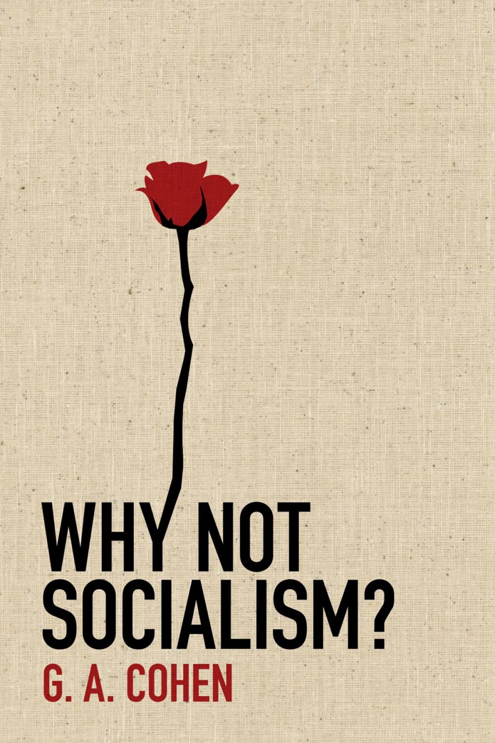 Big bigCover of Why Not Socialism?