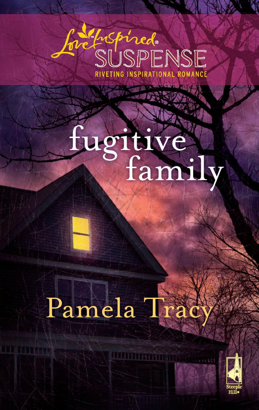 Big bigCover of Fugitive Family