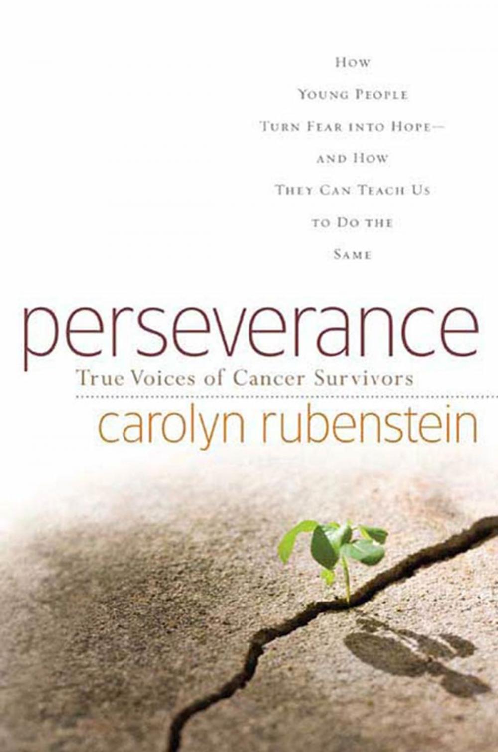 Big bigCover of Perseverance