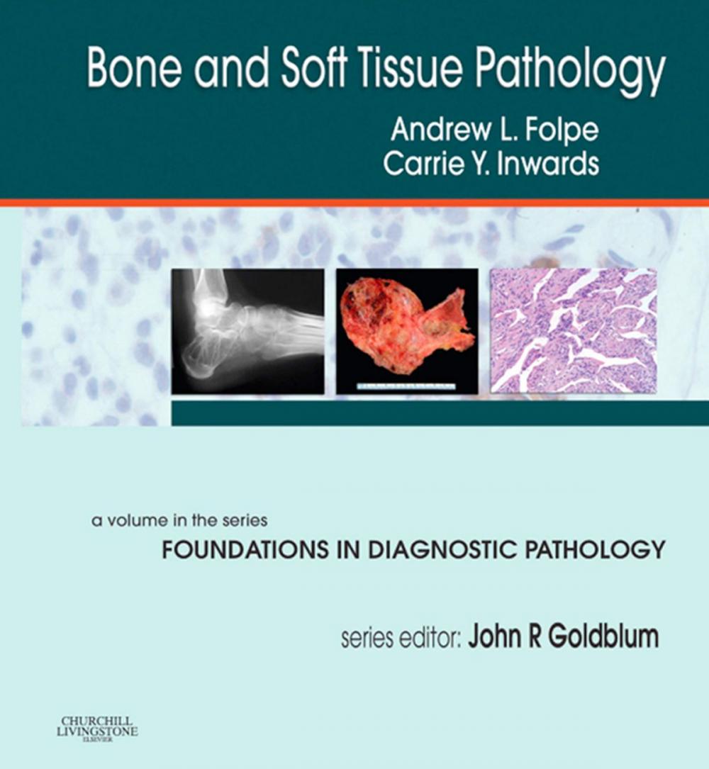 Big bigCover of Bone and Soft Tissue Pathology E-Book