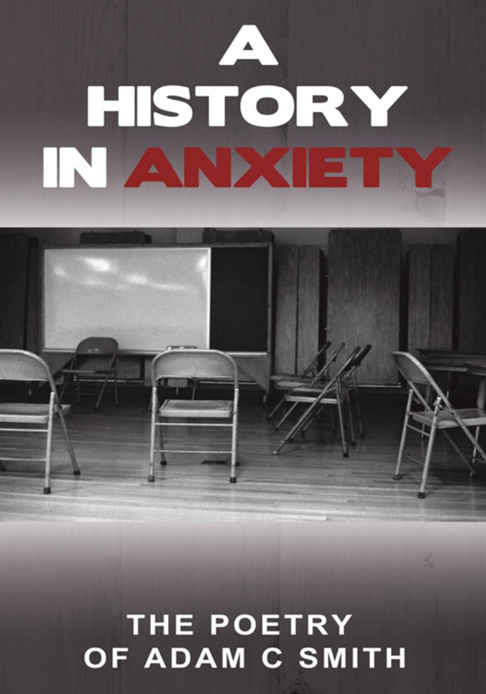 Big bigCover of A History in Anxiety