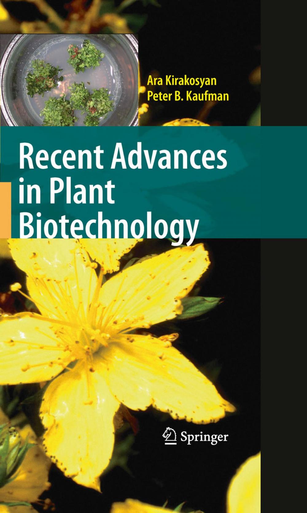 Big bigCover of Recent Advances in Plant Biotechnology