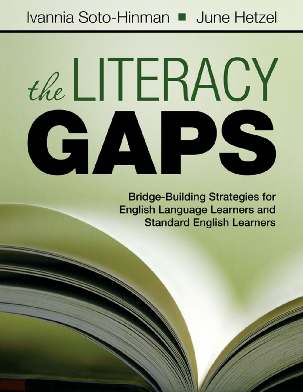 Big bigCover of The Literacy Gaps