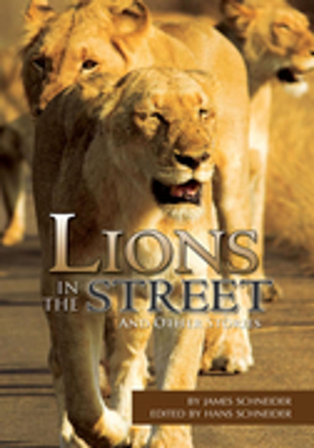 Big bigCover of Lions in the Street