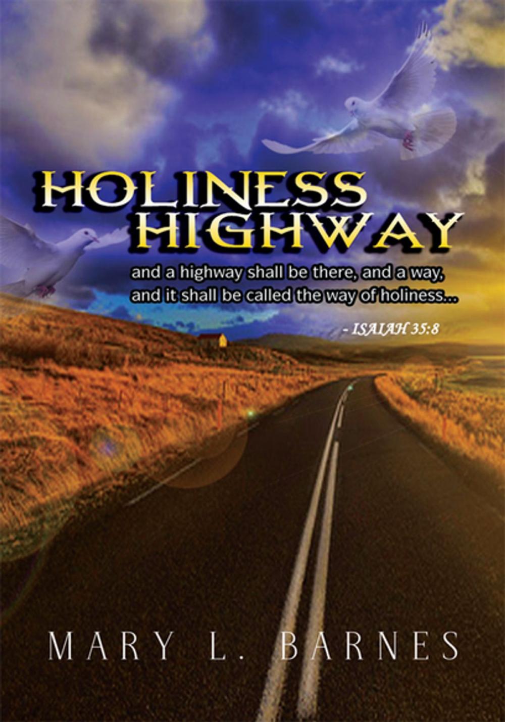 Big bigCover of Holiness Highway