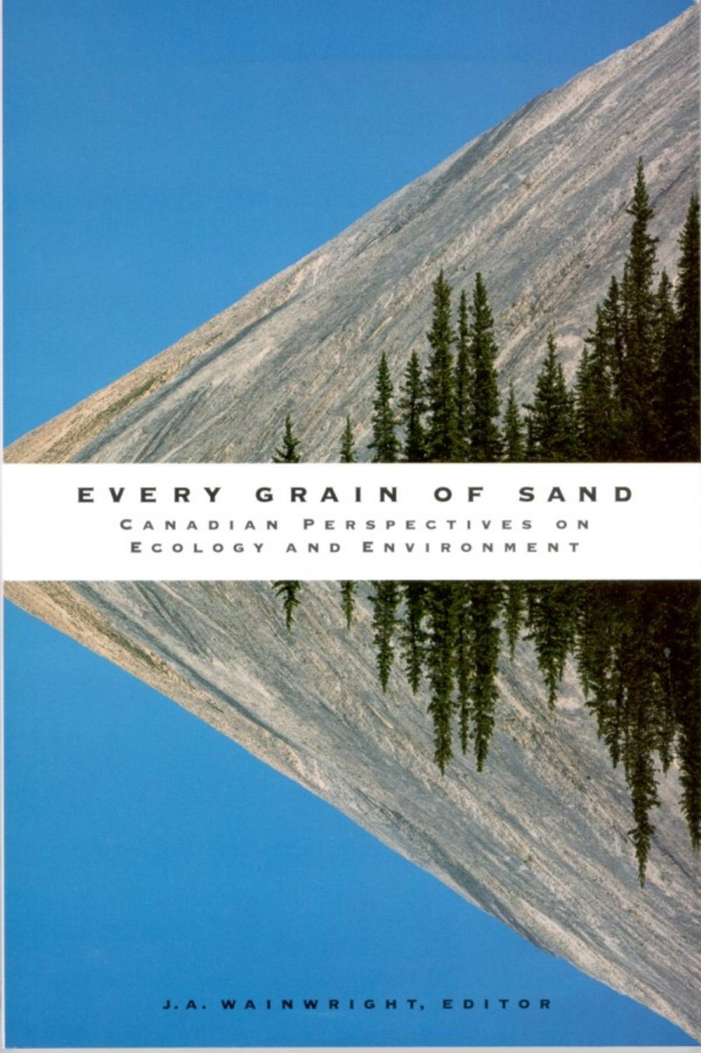 Big bigCover of Every Grain of Sand