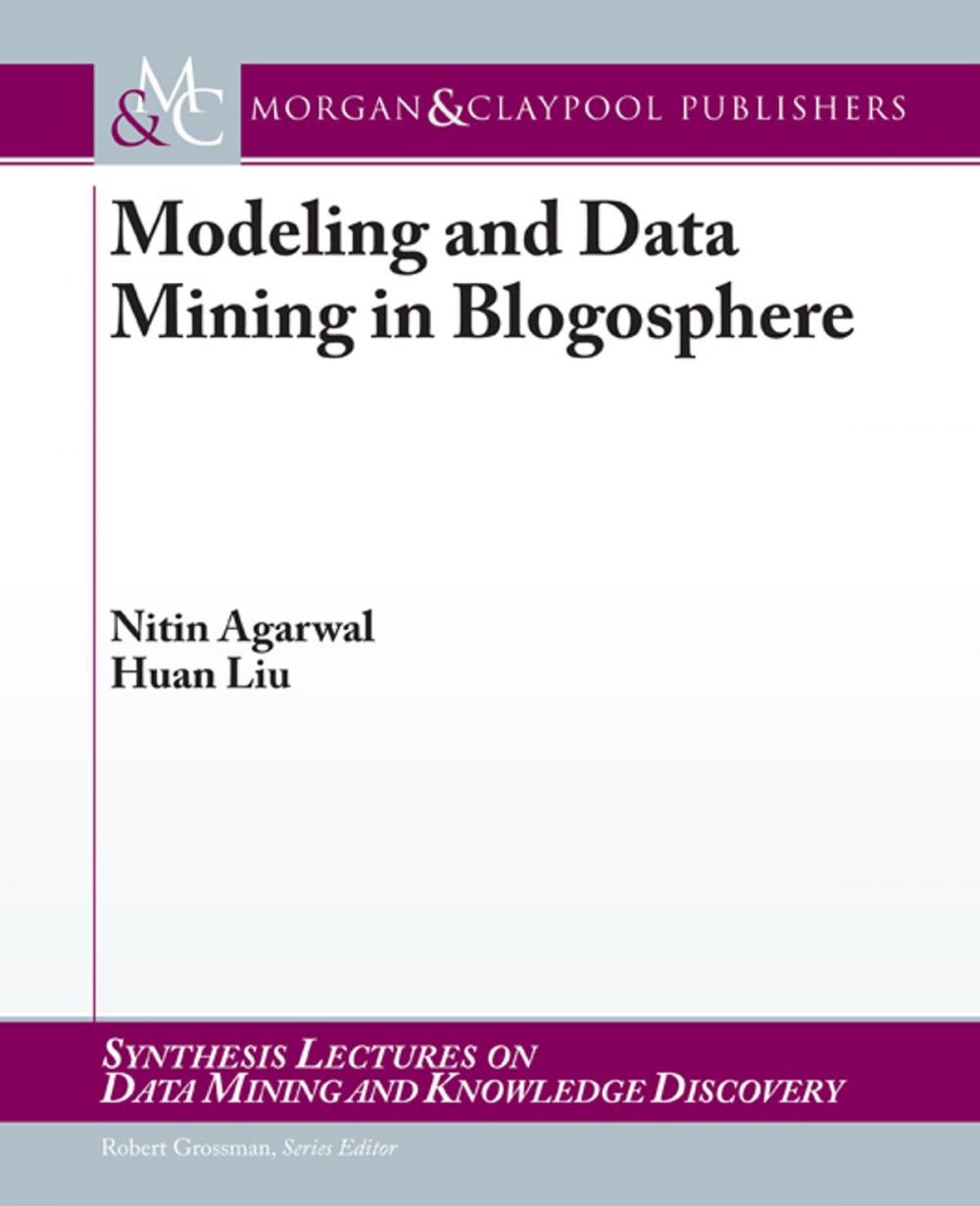 Big bigCover of Modeling and Data Mining in Blogosphere
