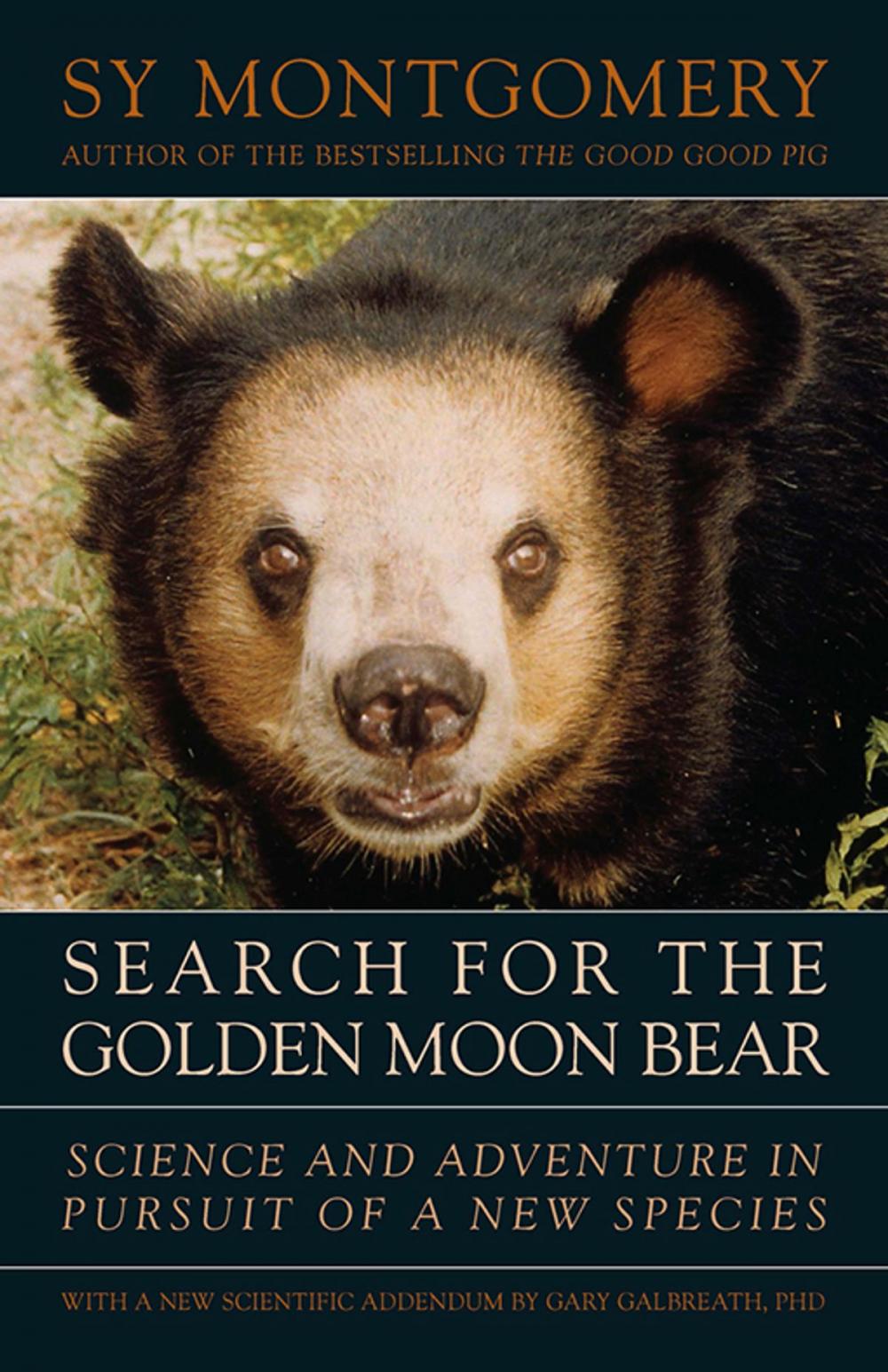 Big bigCover of Search for the Golden Moon Bear