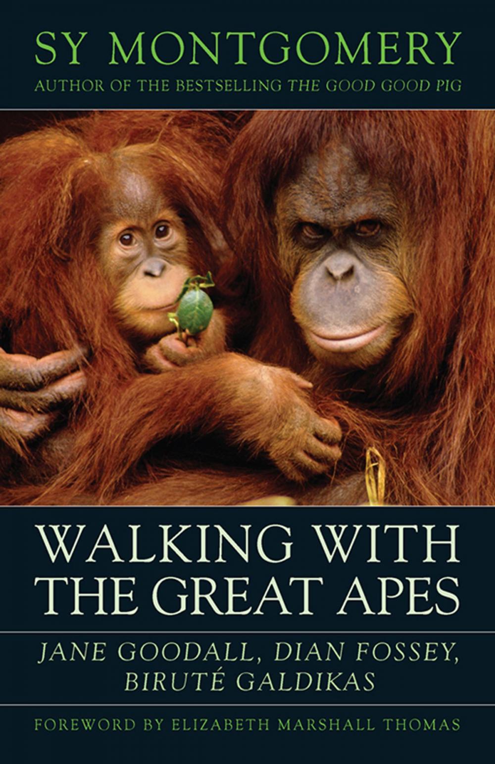 Big bigCover of Walking with the Great Apes