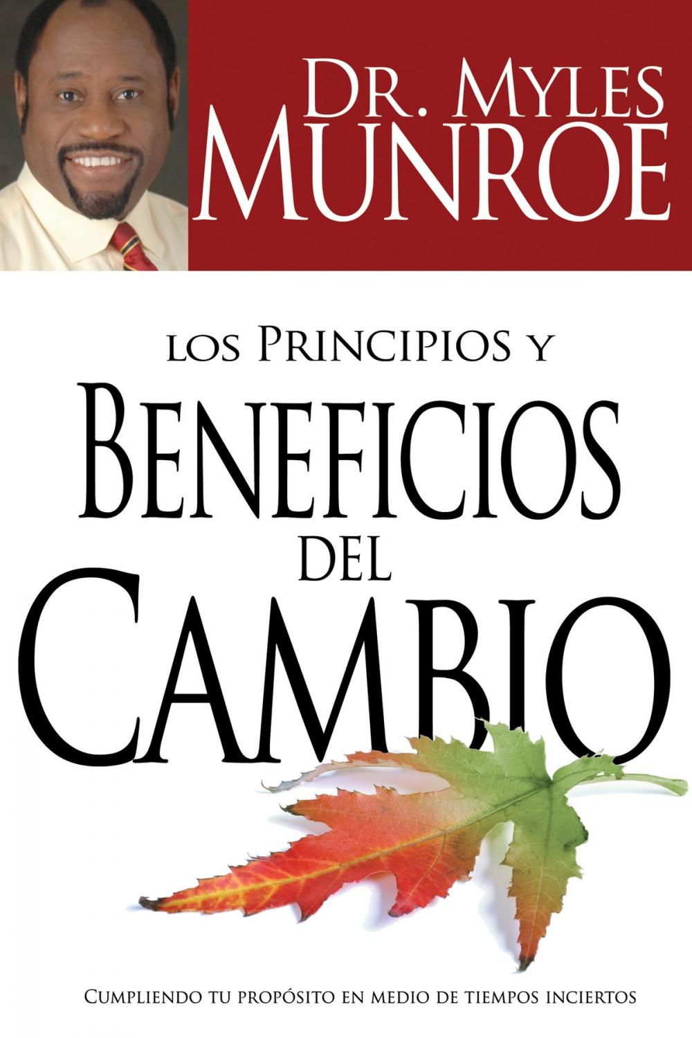 Big bigCover of Los principios y beneficios del cambio