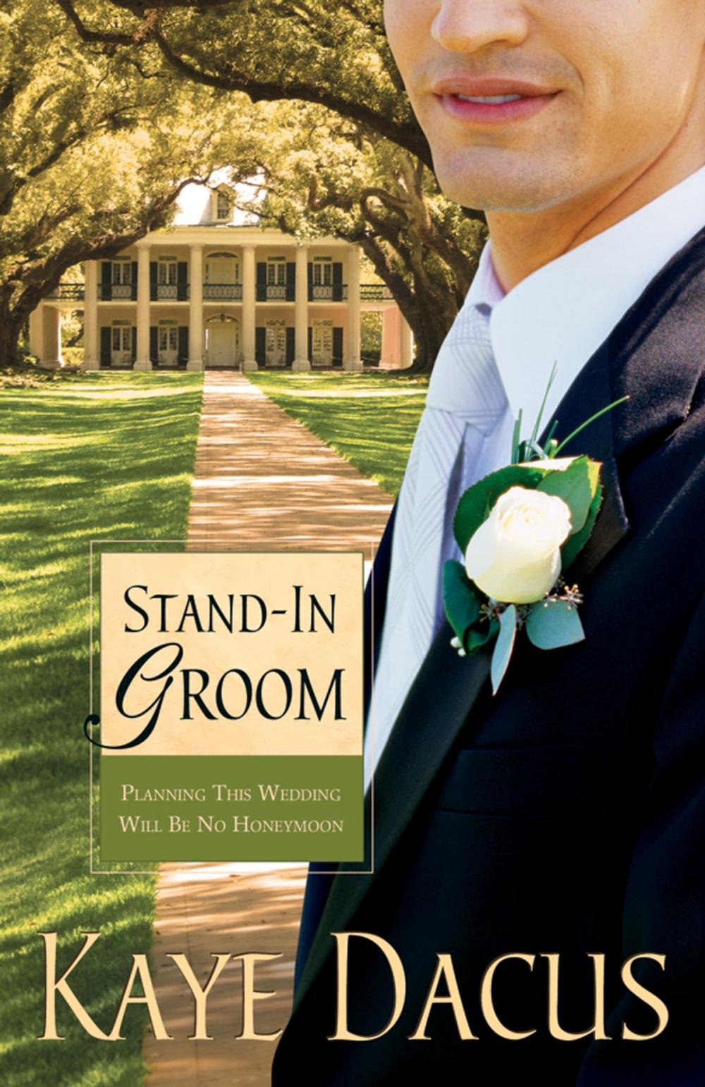 Big bigCover of Stand-In Groom: Planning This Wedding Will Be No Honeymoon