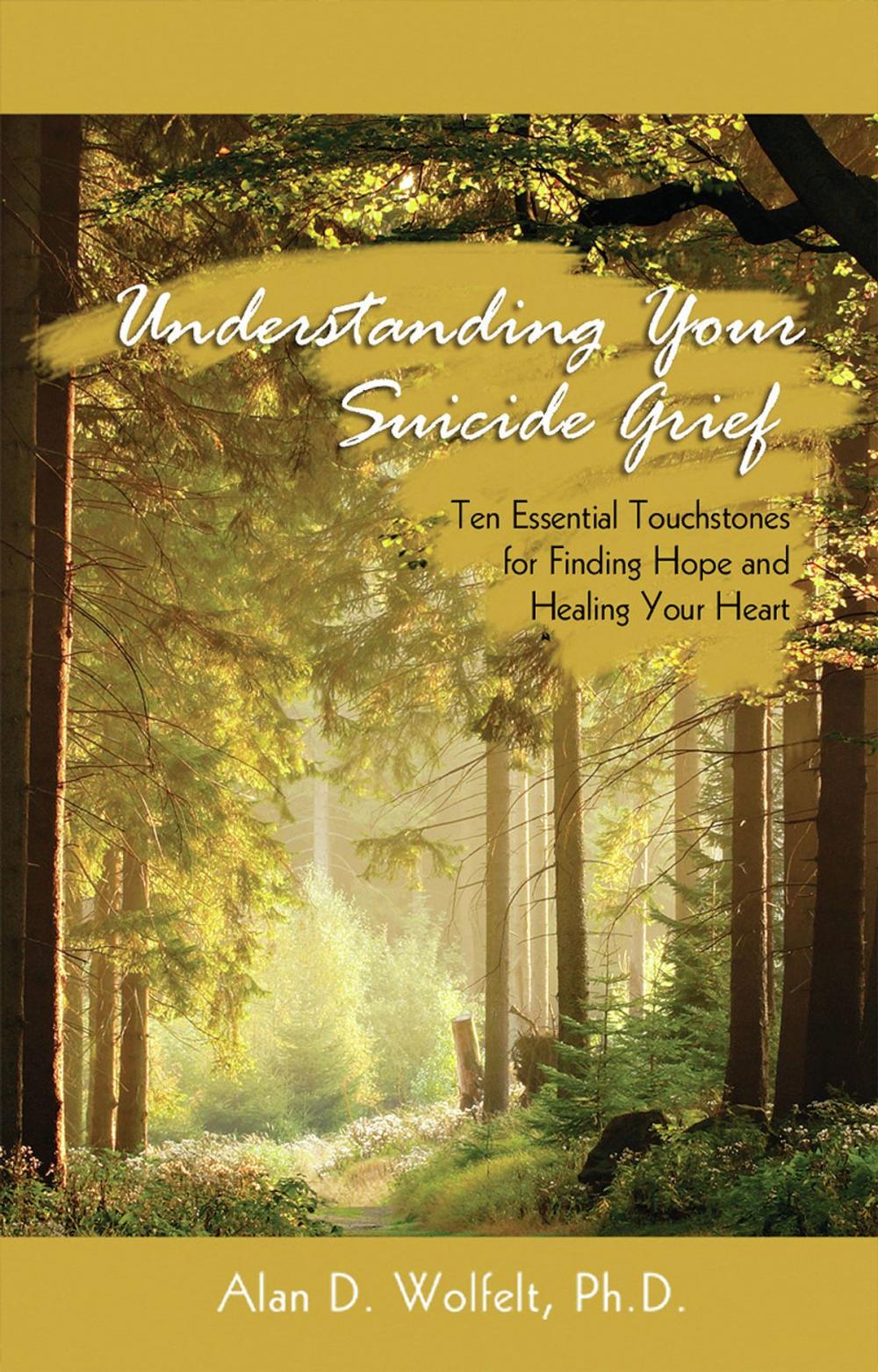 Big bigCover of Understanding Your Suicide Grief