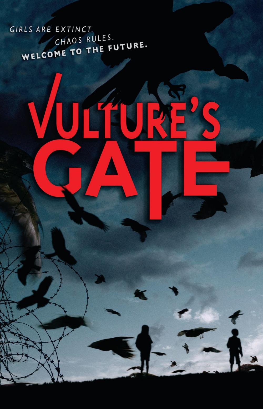 Big bigCover of Vulture's Gate