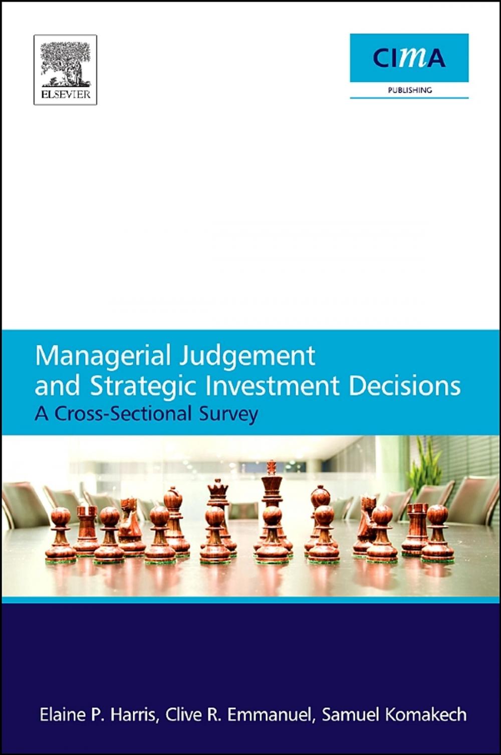 Big bigCover of Managerial Judgement and Strategic Investment Decisions