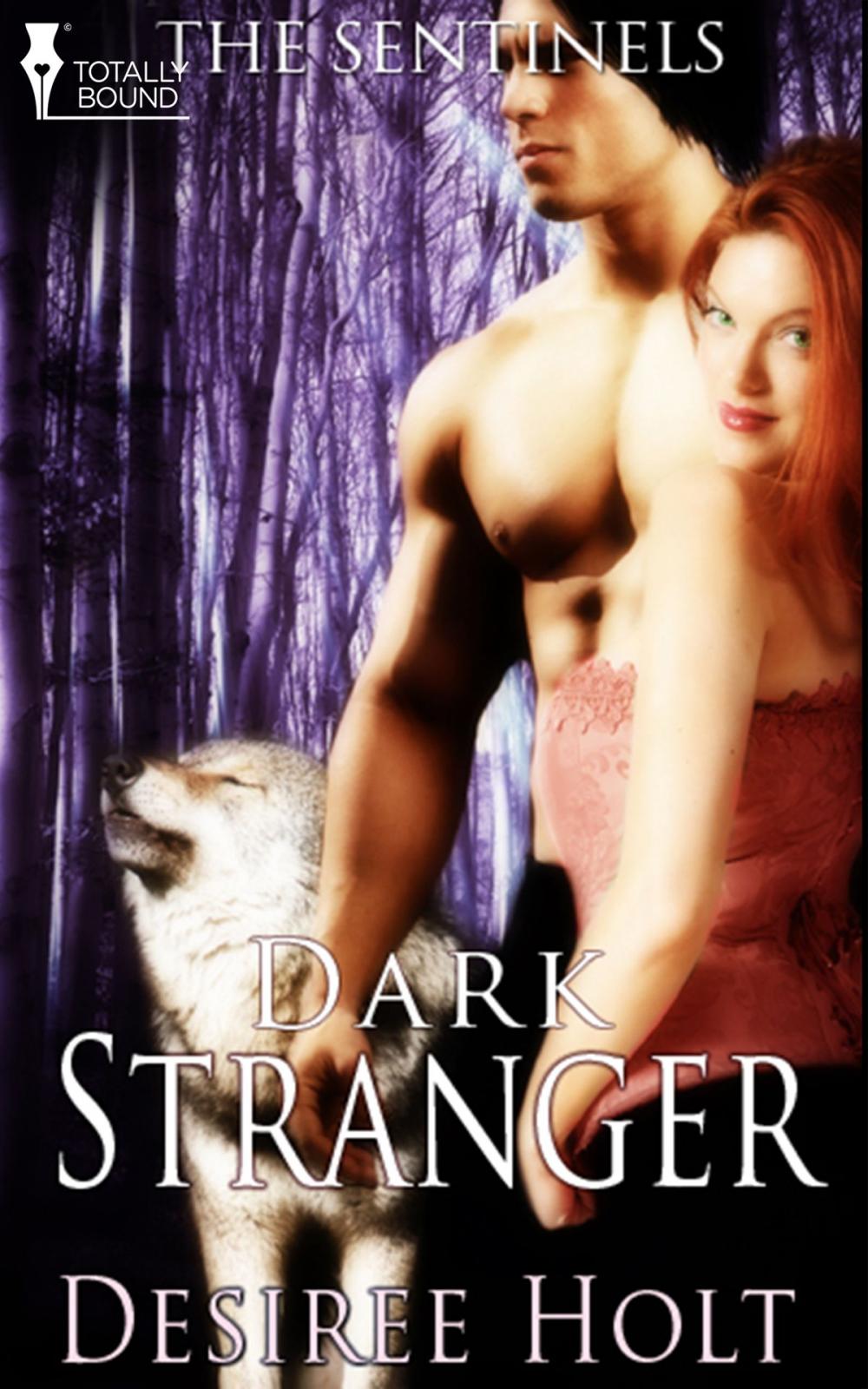 Big bigCover of Dark Stranger