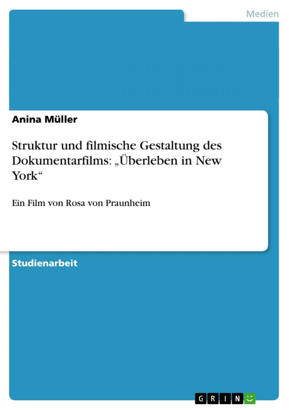 Big bigCover of Struktur und filmische Gestaltung des Dokumentarfilms: 'Überleben in New York'