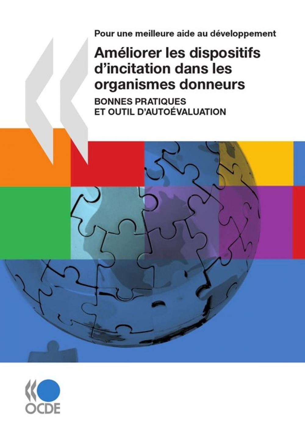 Big bigCover of Améliorer les dispositifs d'incitation dans les organismes donneurs (Première édition)