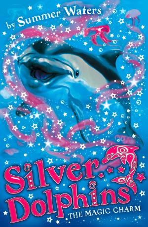 Book cover of The Magic Charm (Silver Dolphins, Book 1)