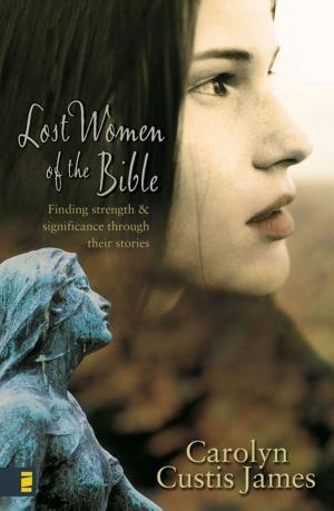 Cover of the book Lost Women of the Bible by Todd A. Wilson
