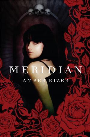 Cover of the book Meridian by Hazel Hunter